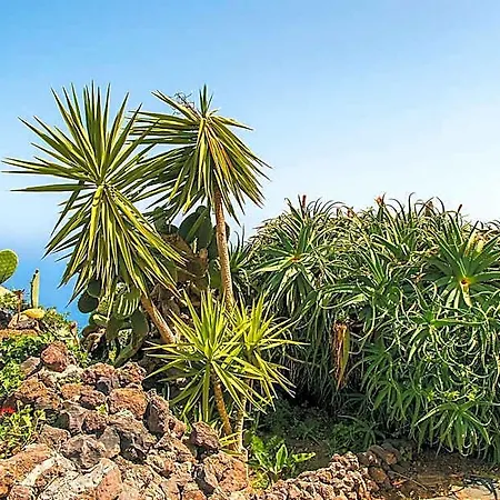 La Hoya, El Tanque Tenerife Island